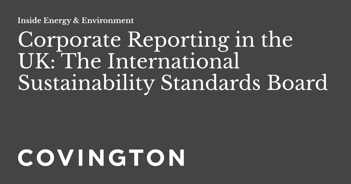 Corporate Reporting in the UK: The International Sustainability ...