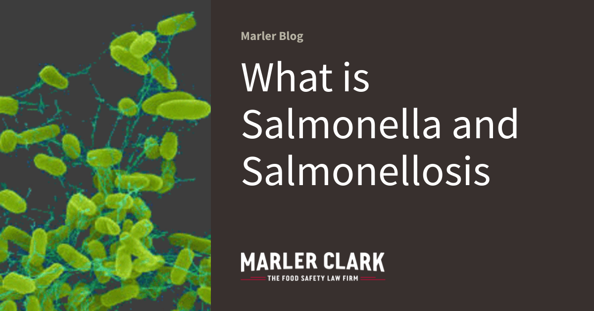 What is Salmonella and Salmonellosis Marler Blog