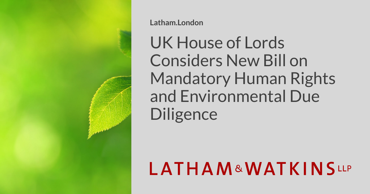 Mandory Rights UK House of Lords Considers New Bill on Mandatory Human Rights and ...