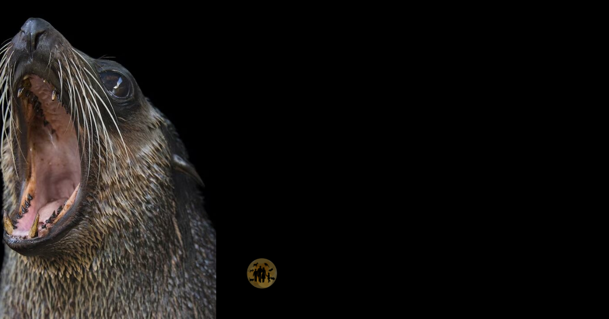 Seal Bites and Rabies Risk Worms & Germs Blog