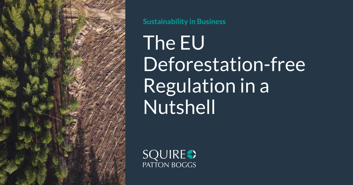 The EU Deforestation-free Regulation in a Nutshell | Sustainability in ...