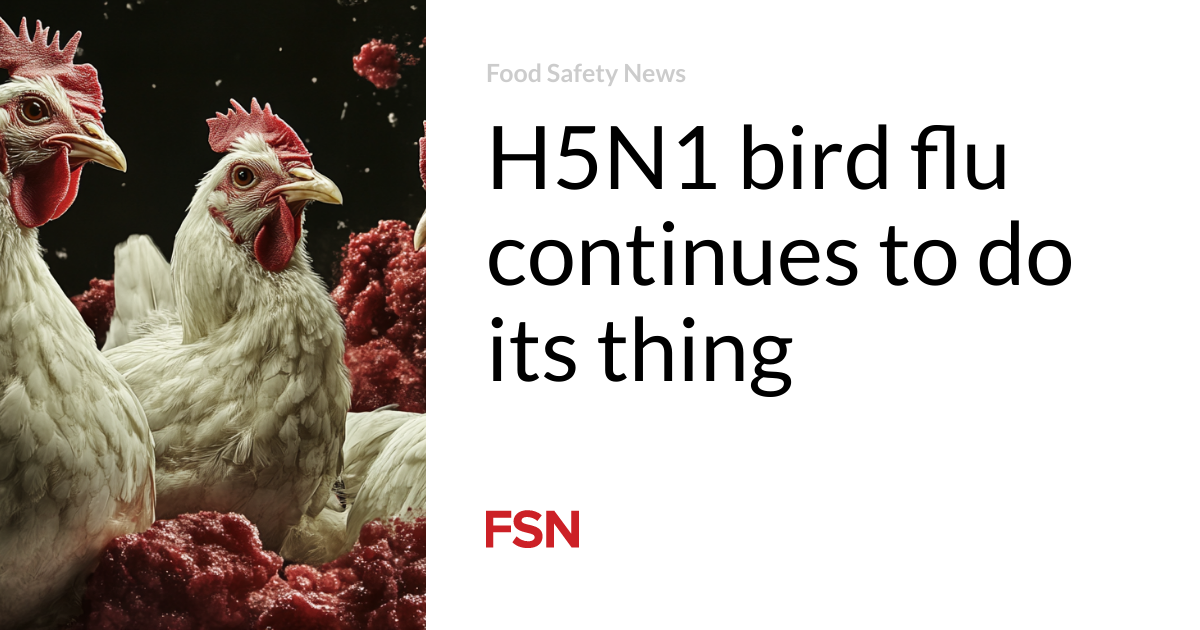 H5N1 bird flu continues to do its thing | Food Safety News