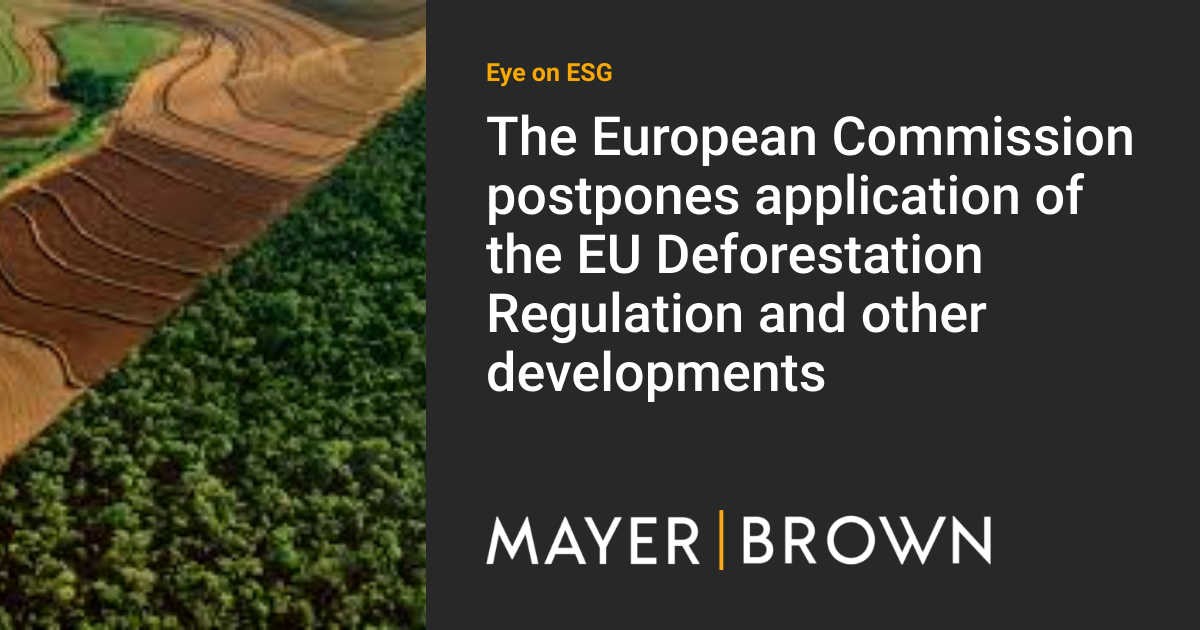 The European Commission postpones application of the EU Deforestation
