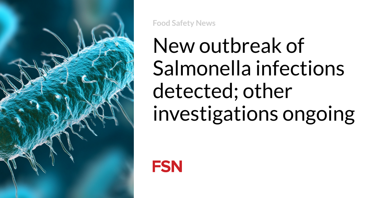 New outbreak of Salmonella infections detected; other investigations