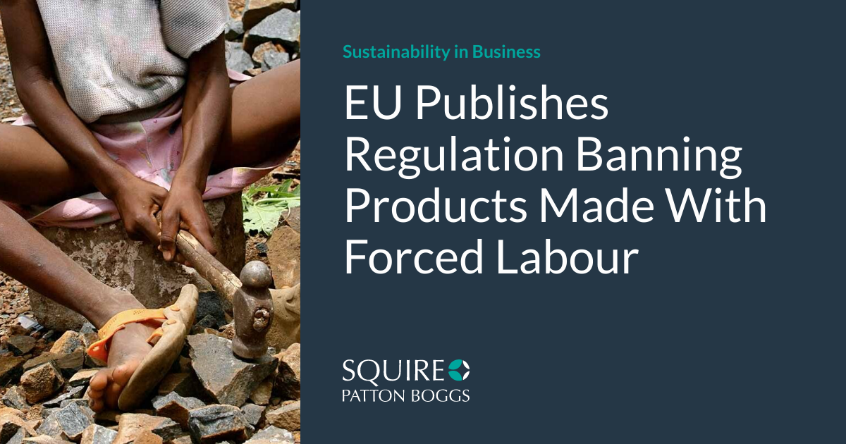 EU Publishes Regulation Banning Products Made With Forced Labour ...