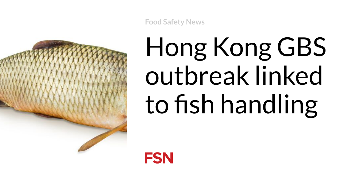 Hong Kong GBS outbreak linked to fish handling