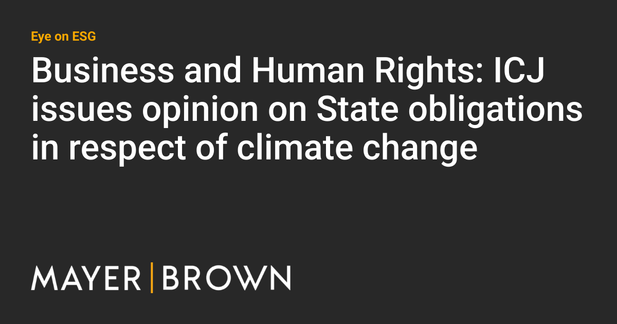 Business and Human Rights: ICJ issues opinion on State obligations in ...