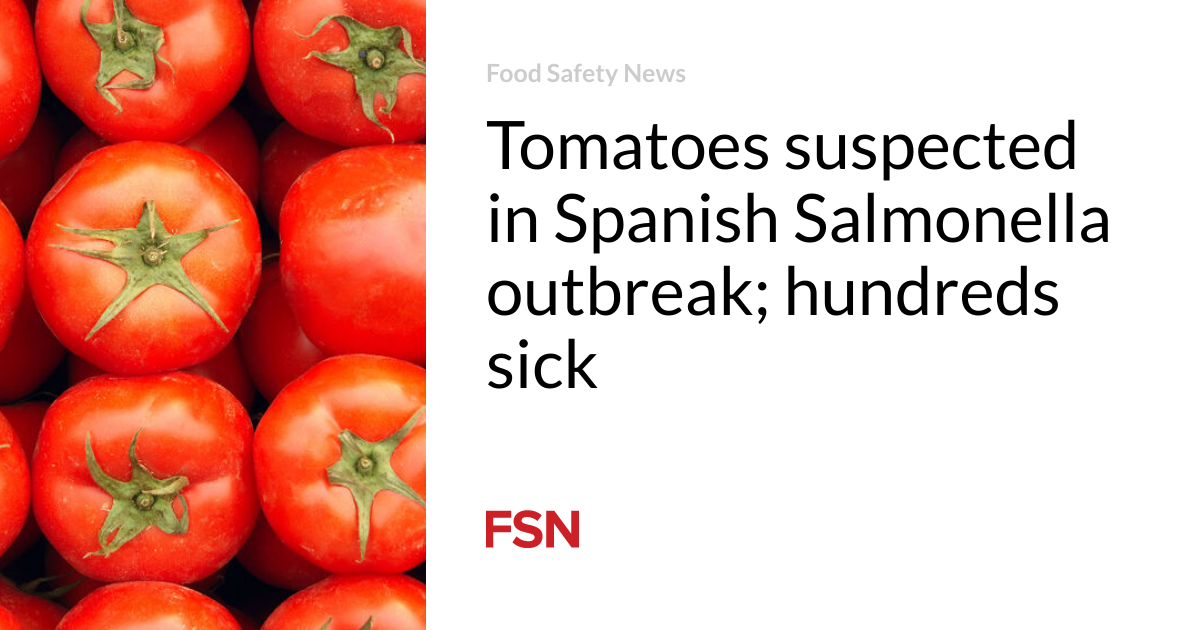  Tomatoes suspected in Spanish Salmonella outbreak; hundreds sick 