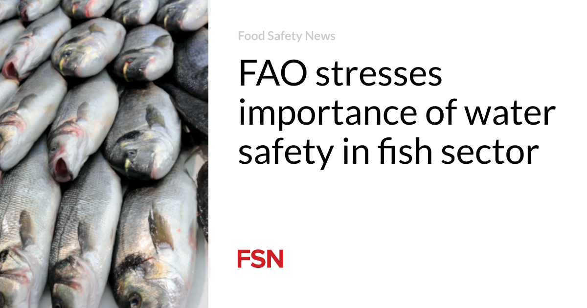 FAO stresses importance of water safety in fish sector