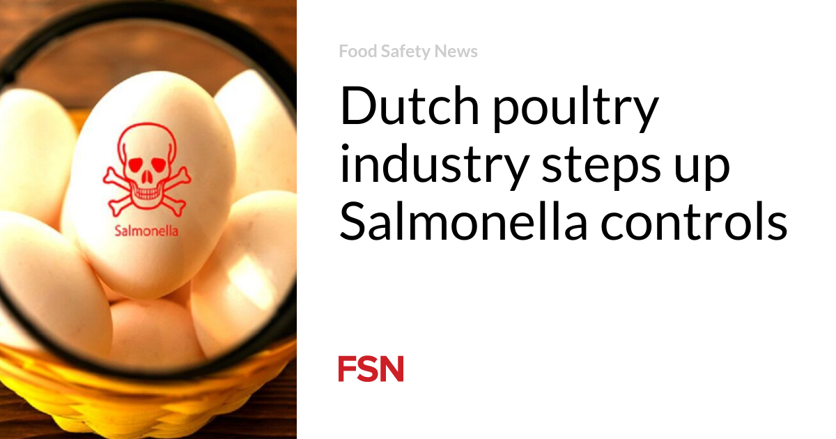 Dutch poultry industry steps up Salmonella controls