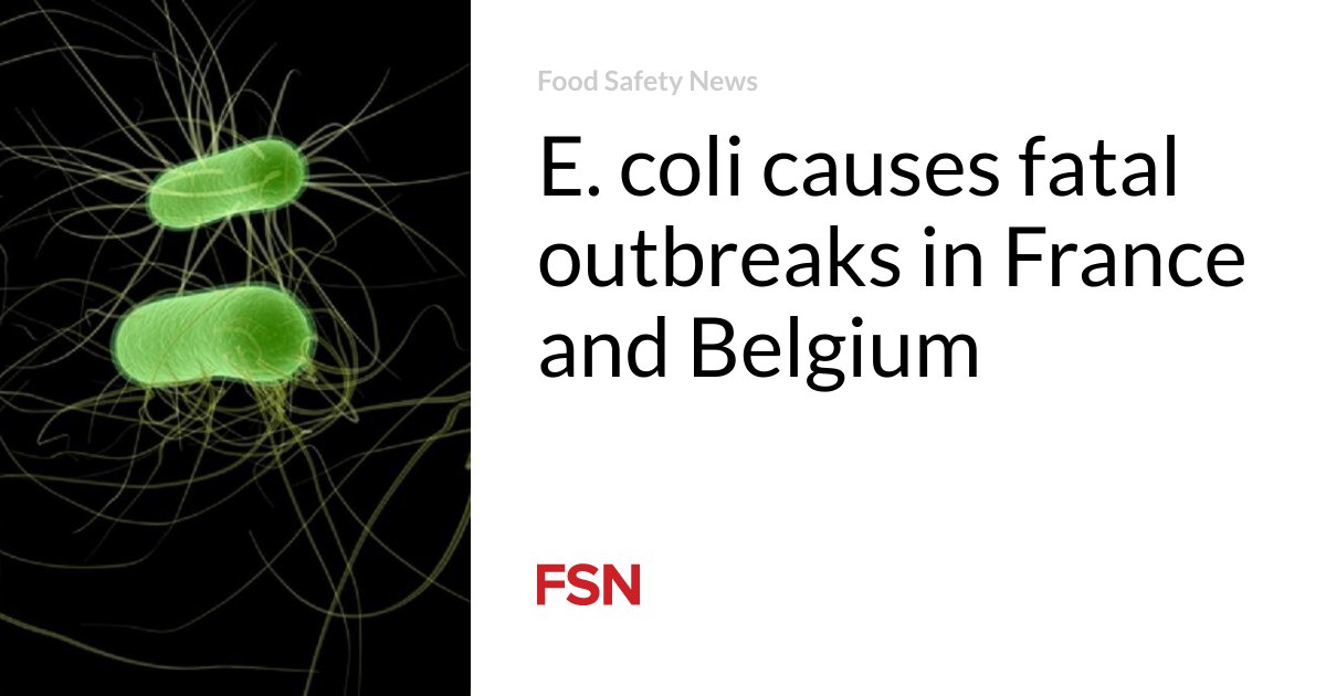 E. coli causes fatal outbreaks in France and Belgium