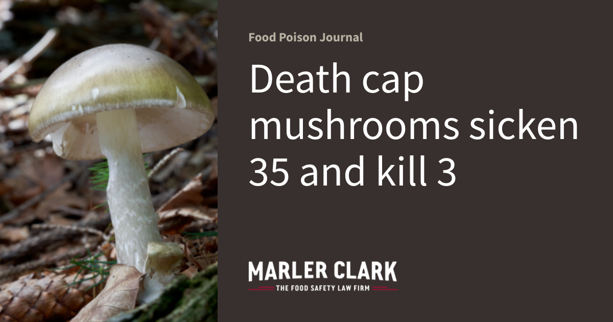 Death cap mushrooms sicken 35 and kill 3 