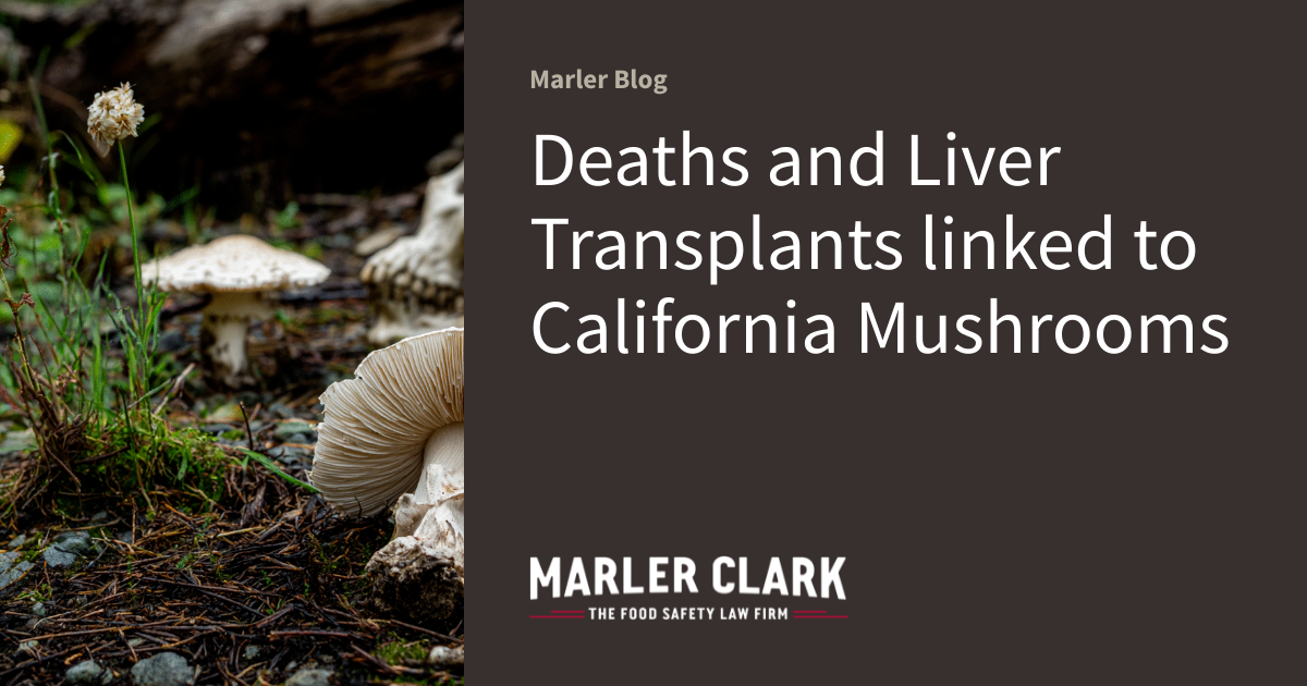 Deaths and Liver Transplants linked to California Mushrooms