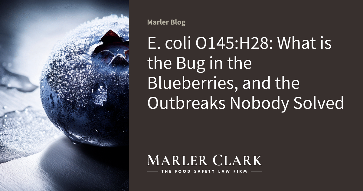 E. coli O145:H28: What is the Bug in the Blueberries, and the Outbreaks Nobody Solved
