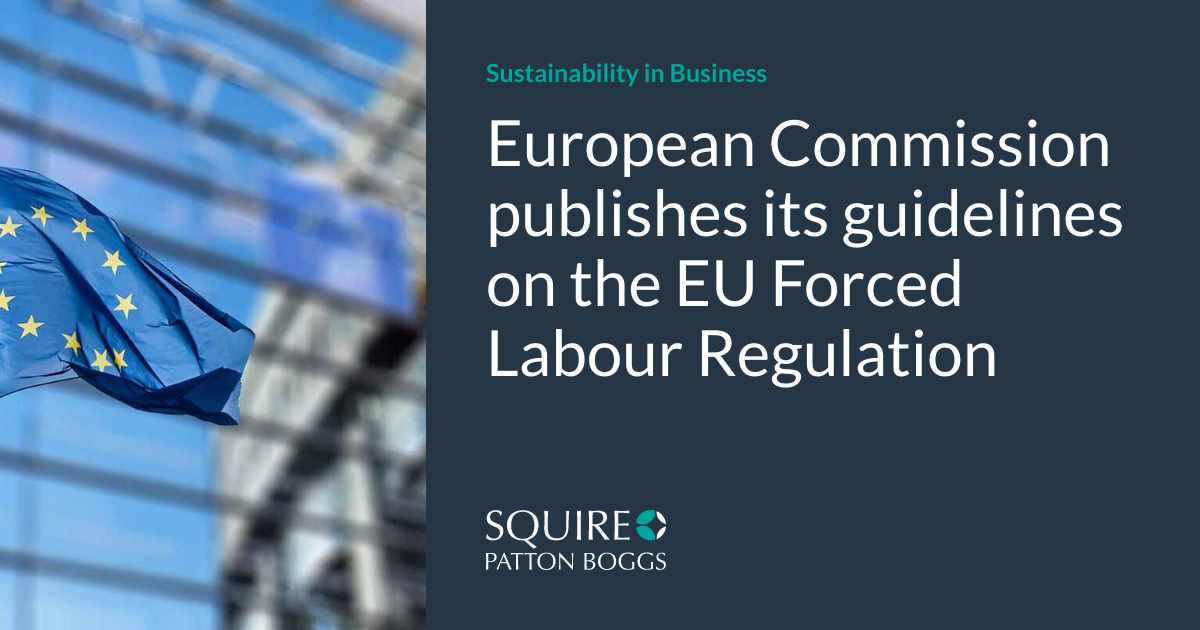 European Commission publishes its guidelines on the EU Forced Labour ...