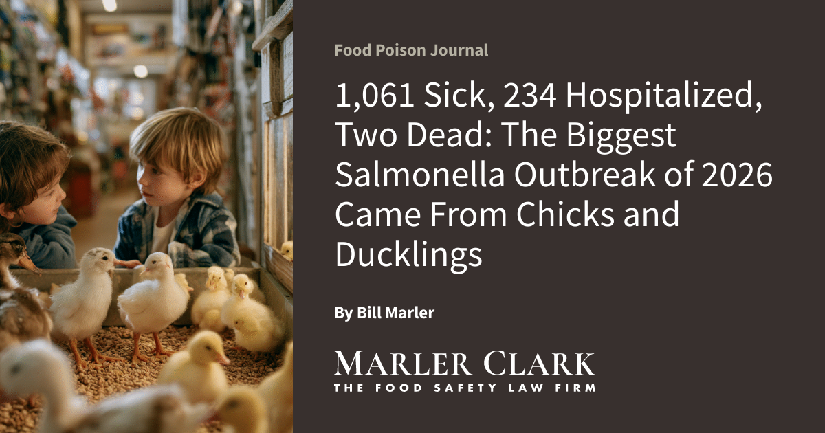 1,061 Sick, 234 Hospitalized, Two Dead: The Biggest Salmonella Outbreak of 2026 Came From Chicks and Ducklings