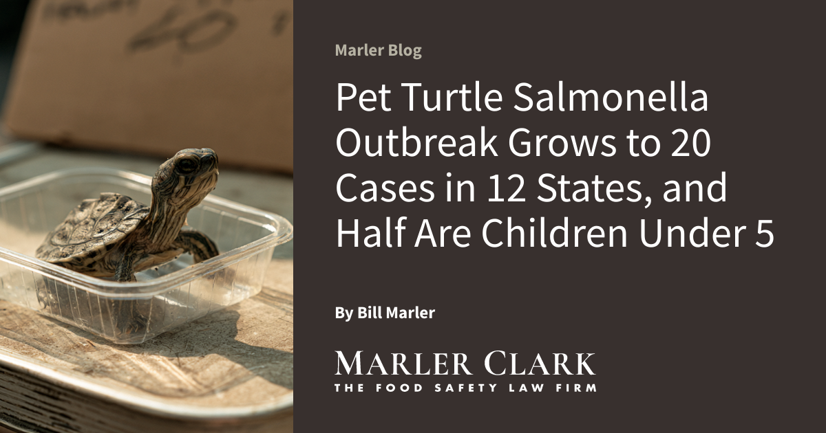 Pet Turtle Salmonella Outbreak Grows to 20 Cases in 12 States, and Half Are Chil...