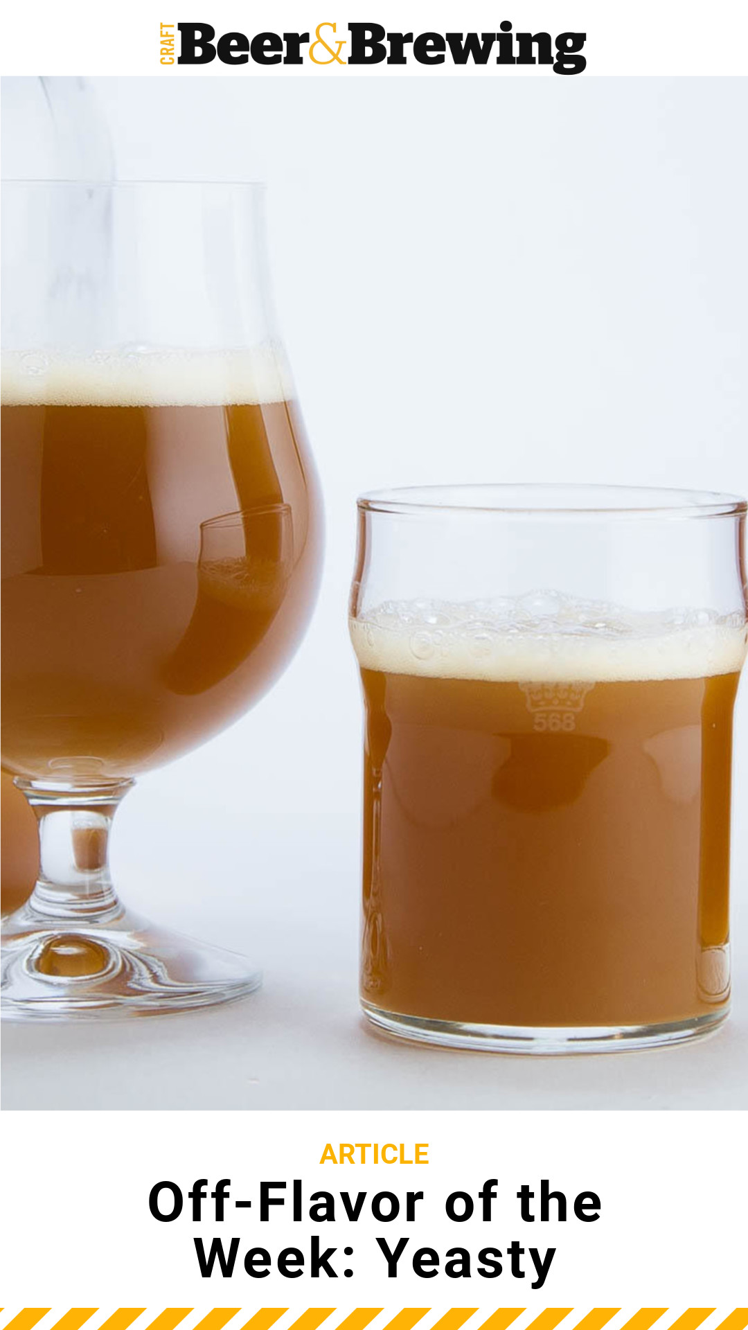 OffFlavor of the Week Yeasty Craft Beer & Brewing