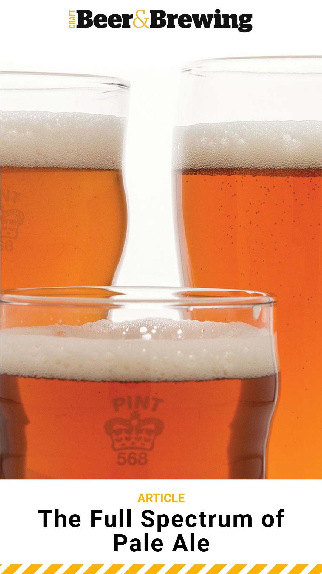 Traditional English Pale Ale Recipe Bryont Blog