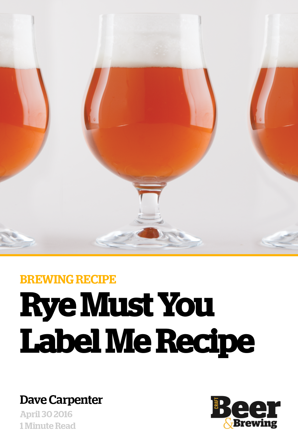 Rye Ipa Recipe Dandk Organizer