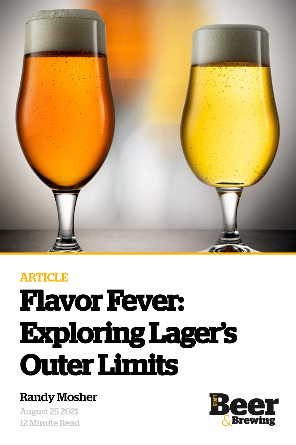 Flavor Fever Exploring Lager’s Outer Limits Craft Beer & Brewing