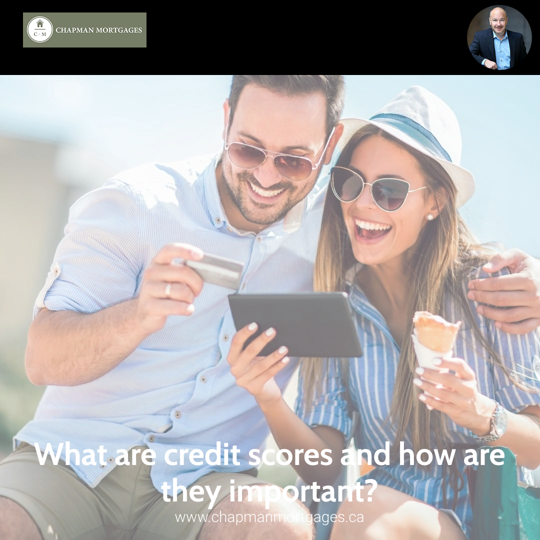 What are credit scores and how are they important?
