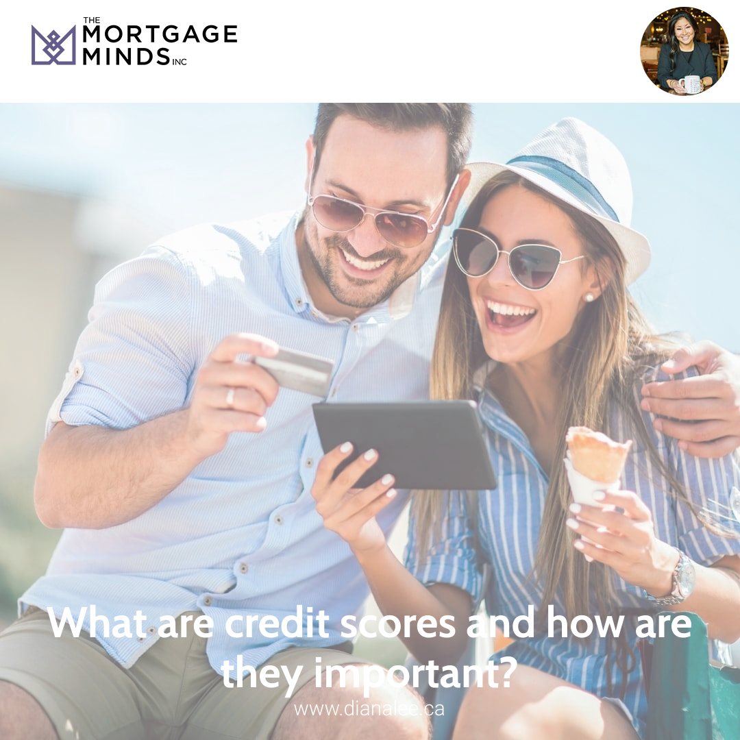 What are credit scores and how are they important?