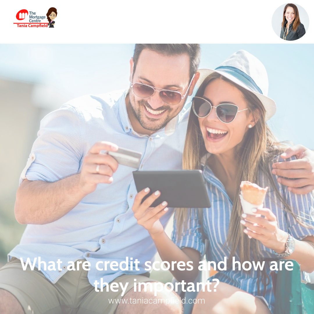 What are credit scores and how are they important?